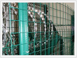 涂塑电焊网产品大图 探索河北安平丰富丝网厂的优质产品