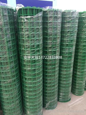 荷兰网厂家直销 优质绿色围网与浸塑电焊网现货供应，安平县天辰金属丝网制品详解